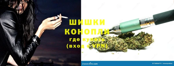ПСИЛОЦИБИНОВЫЕ ГРИБЫ Богданович