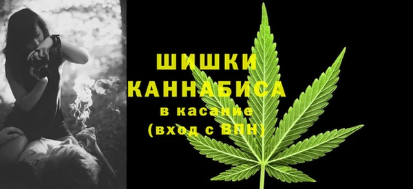 ПСИЛОЦИБИНОВЫЕ ГРИБЫ Богданович