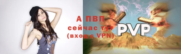 ПСИЛОЦИБИНОВЫЕ ГРИБЫ Богданович