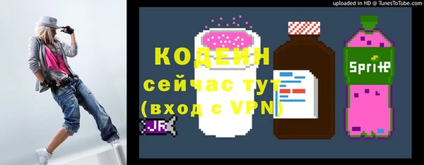 ПСИЛОЦИБИНОВЫЕ ГРИБЫ Богданович