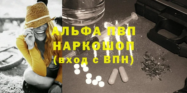 ПСИЛОЦИБИНОВЫЕ ГРИБЫ Богданович