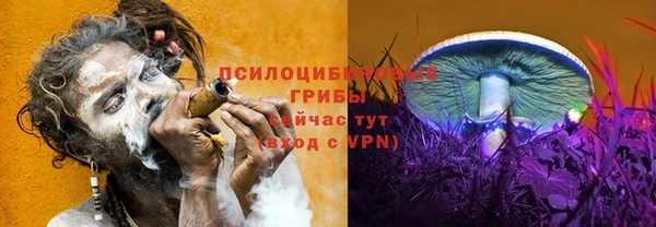 соль курить ск Богородск