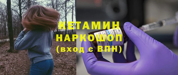 ПСИЛОЦИБИНОВЫЕ ГРИБЫ Богданович